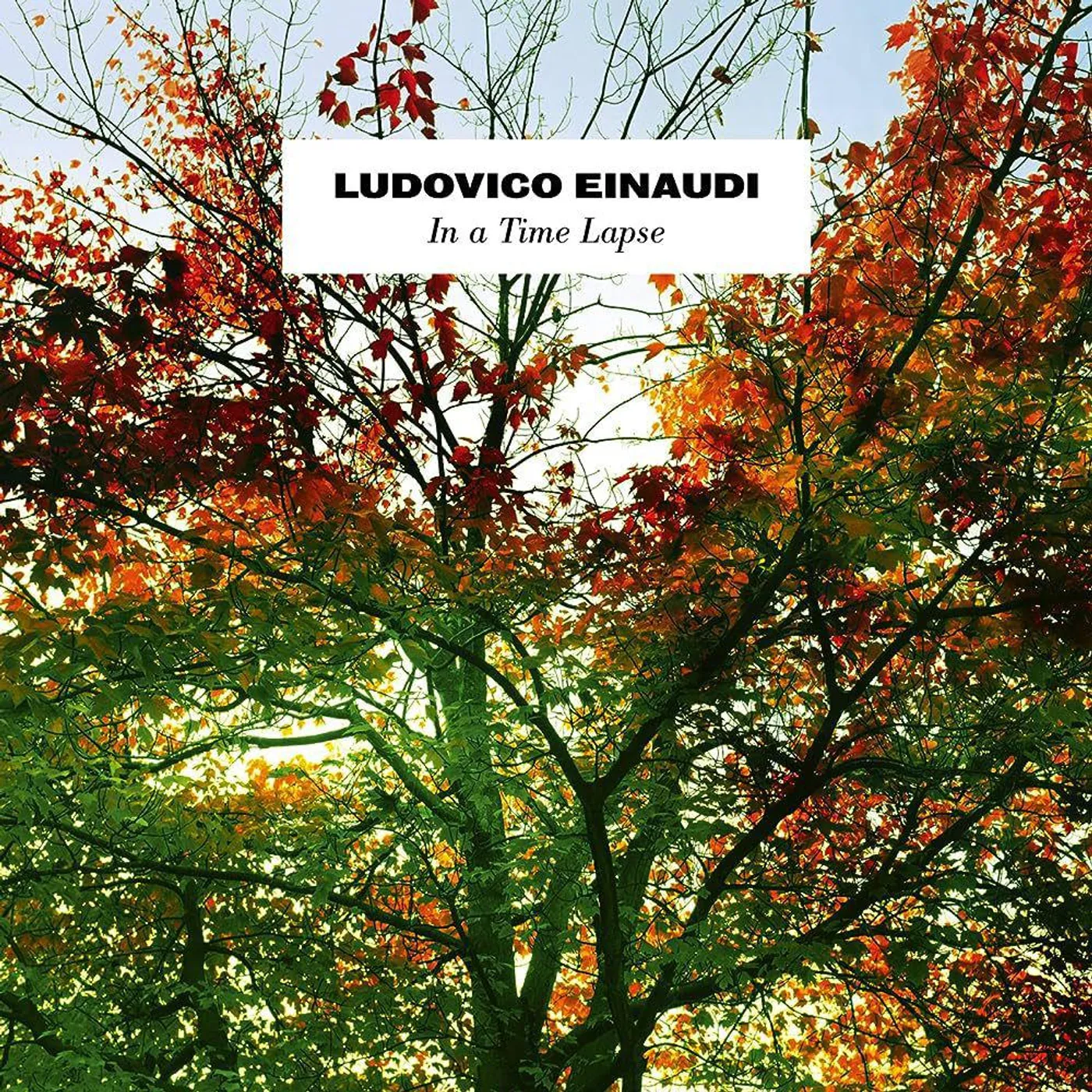 Ludovico Einaudi In A Time Lapse (3LP) Vinyl Record