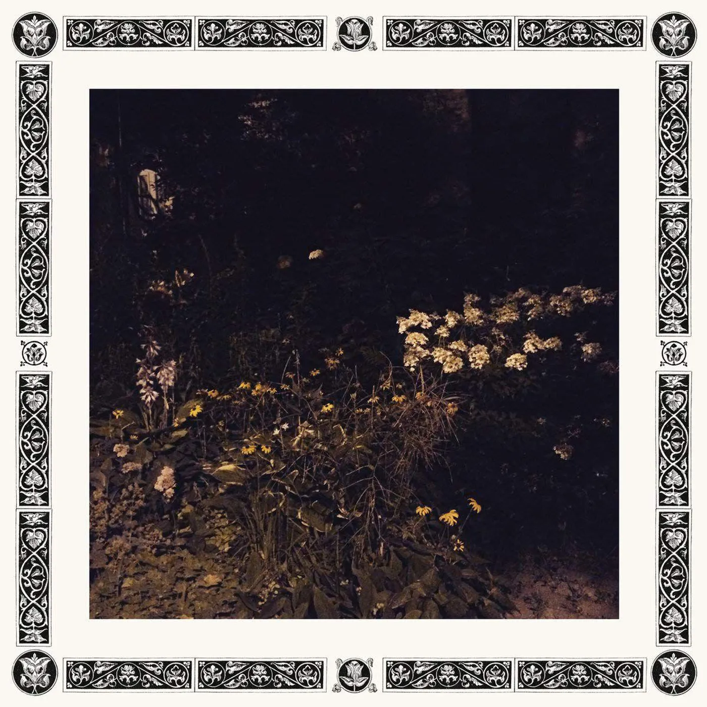 Sarah Davachi Pale Bloom Vinyl Record