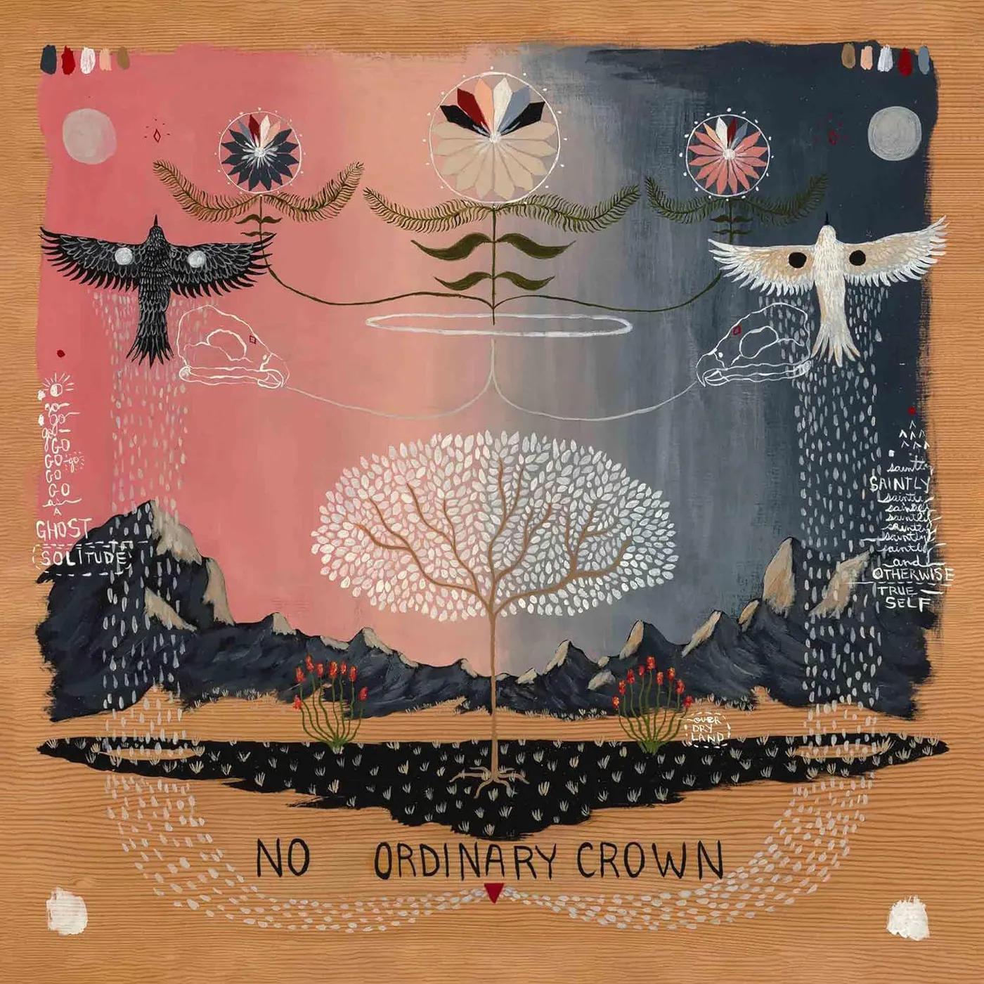 Will Johnson No Ordinary Crown Vinyl Record