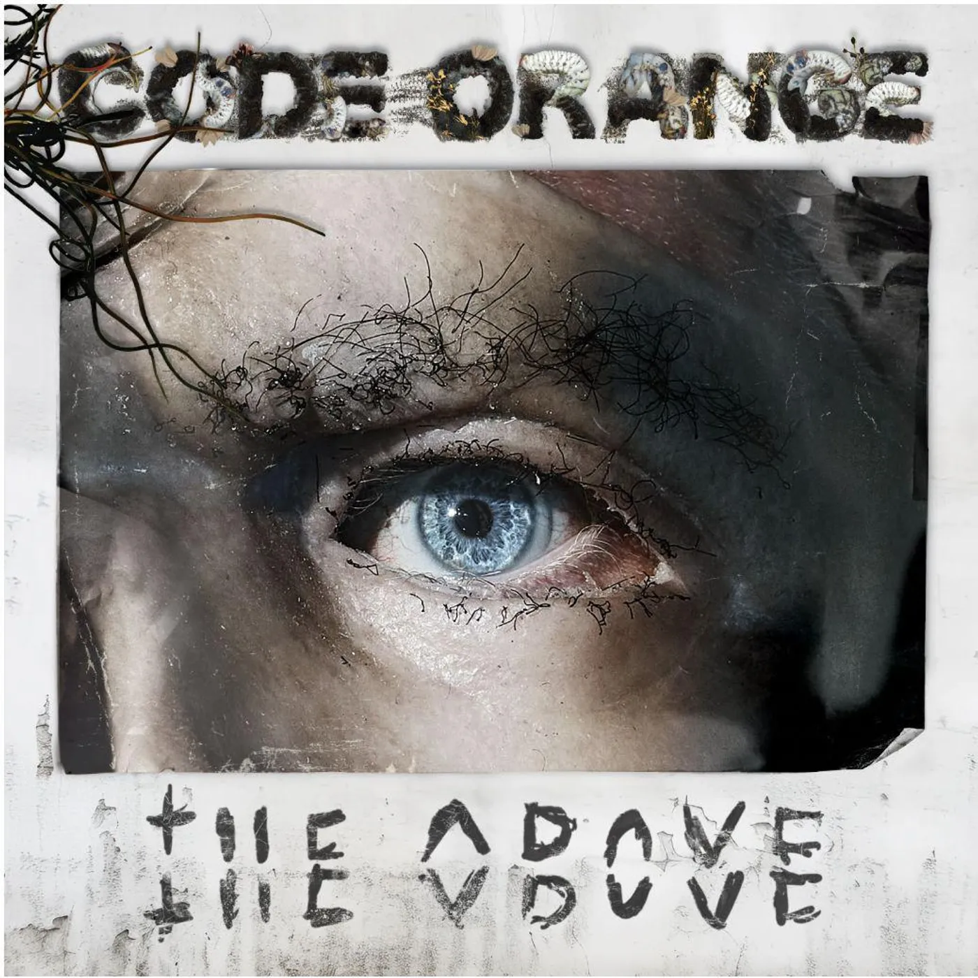 Code Orange Above (Coloured Vinyl) (Limited Edition) Vinyl Record
