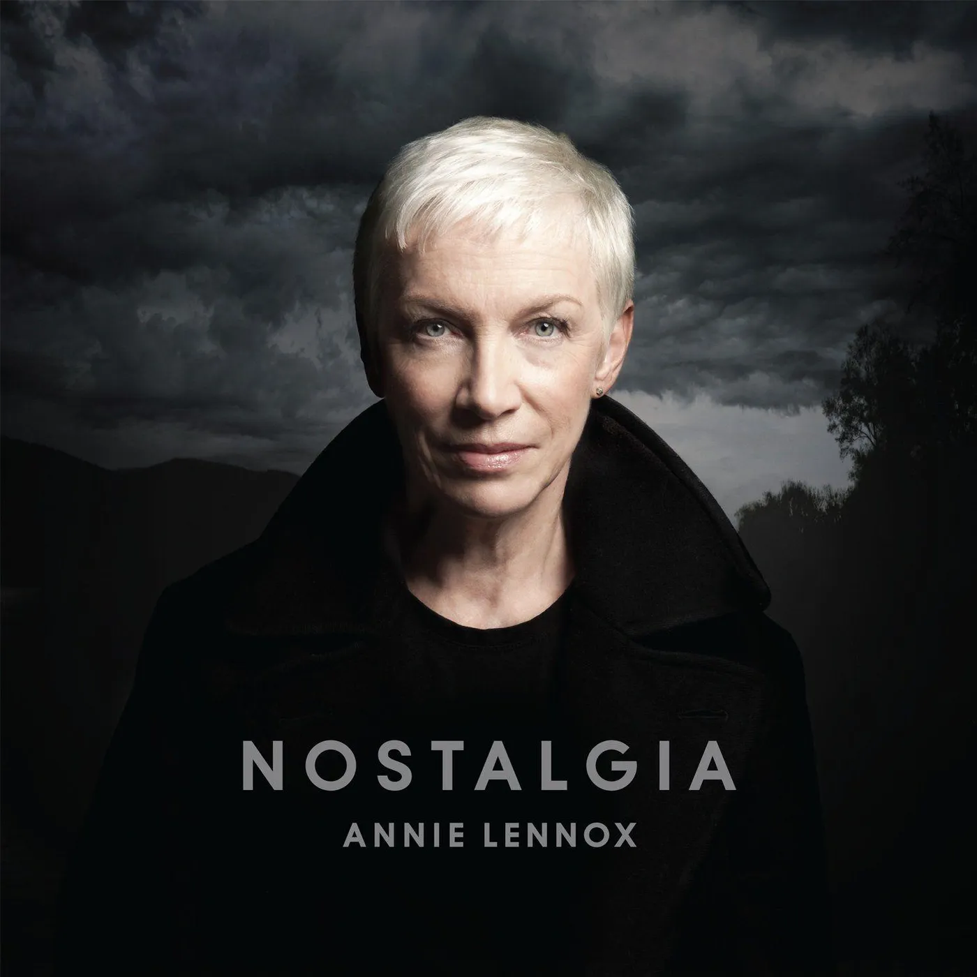 Annie Lennox Nostalgia Vinyl Record
