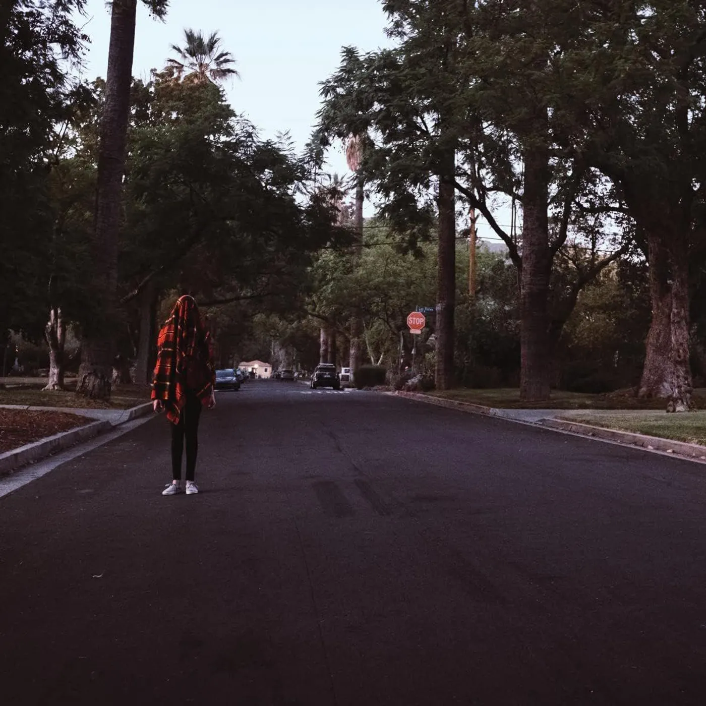 Worriers Warm Blanket (Red) Vinyl Record