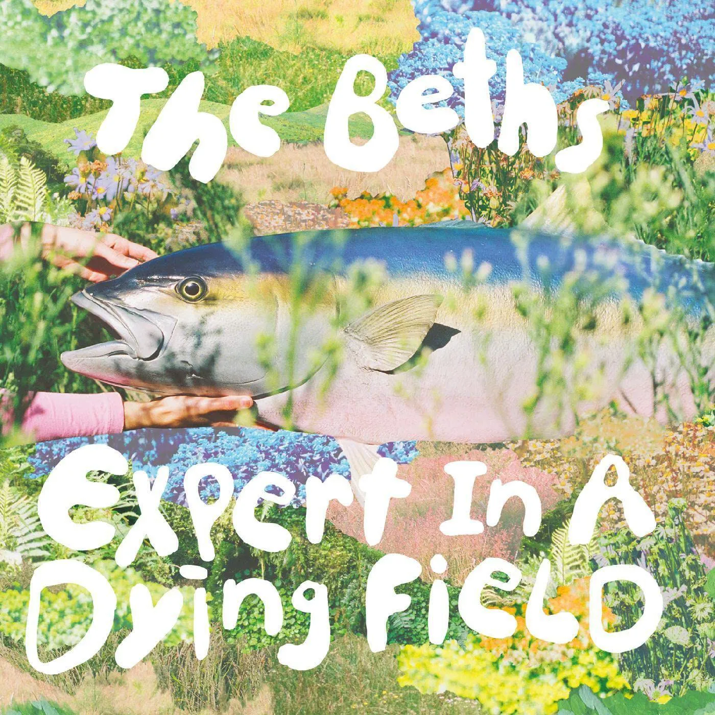 The Beths Expert In A Dying Field (Bone Vinyl Record)