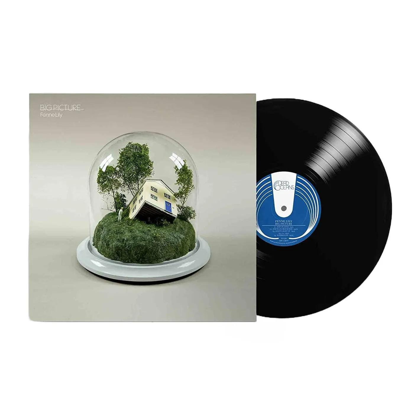 Fenne Lily Big Picture Vinyl Record
