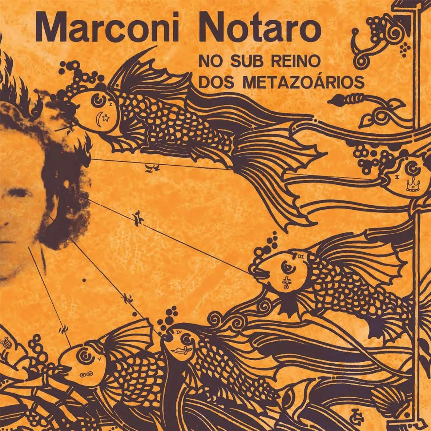 Marconi Notaro No Sub Reino dos Metazoarios Vinyl Record