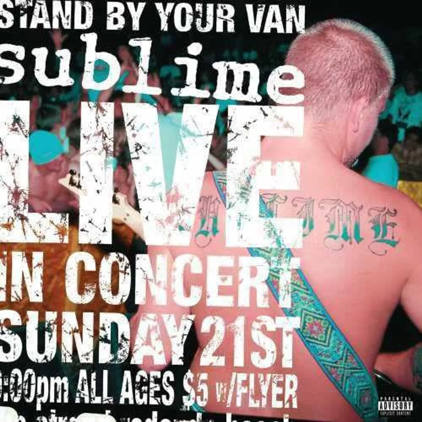 Sublime Stand By Your Van Vinyl Record