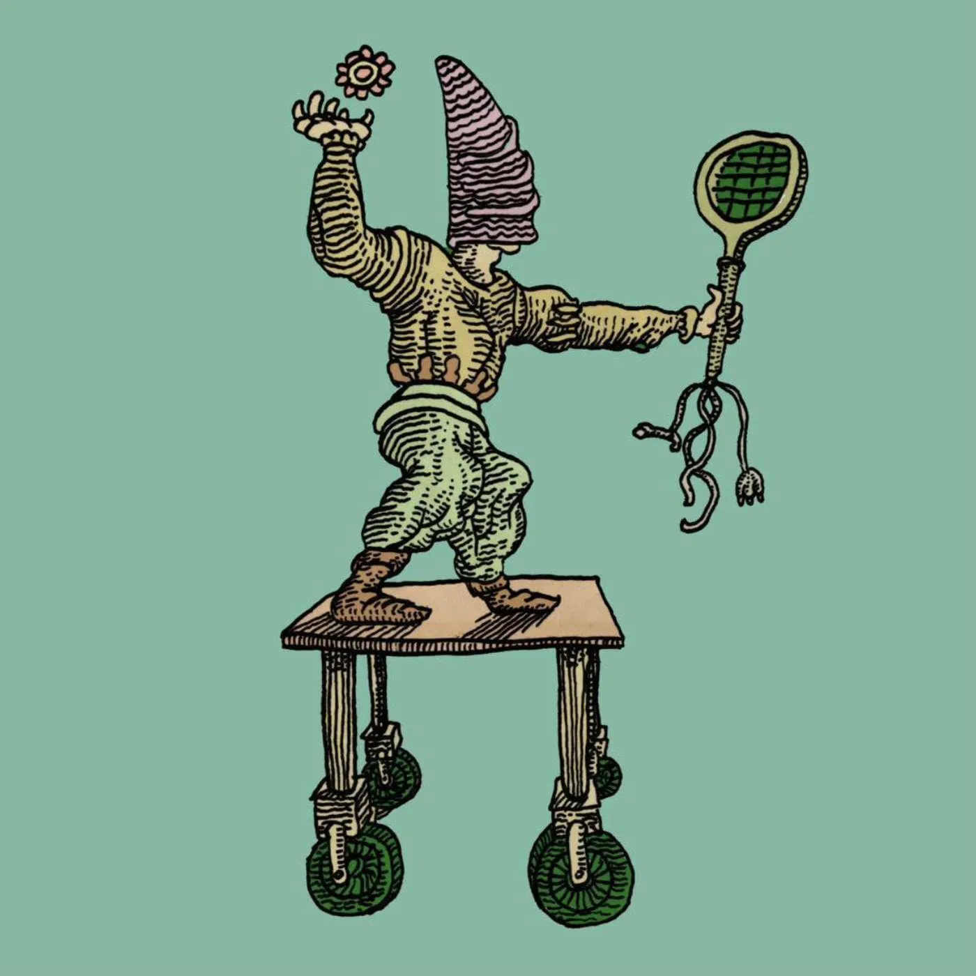 The Mary Onettes Cola Falls Vinyl Record