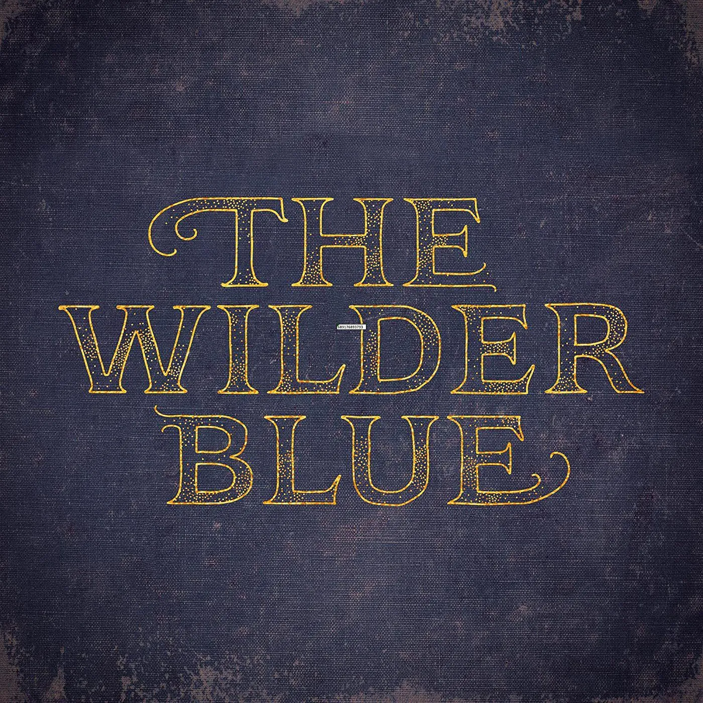 The Wilder Blue Vinyl Record