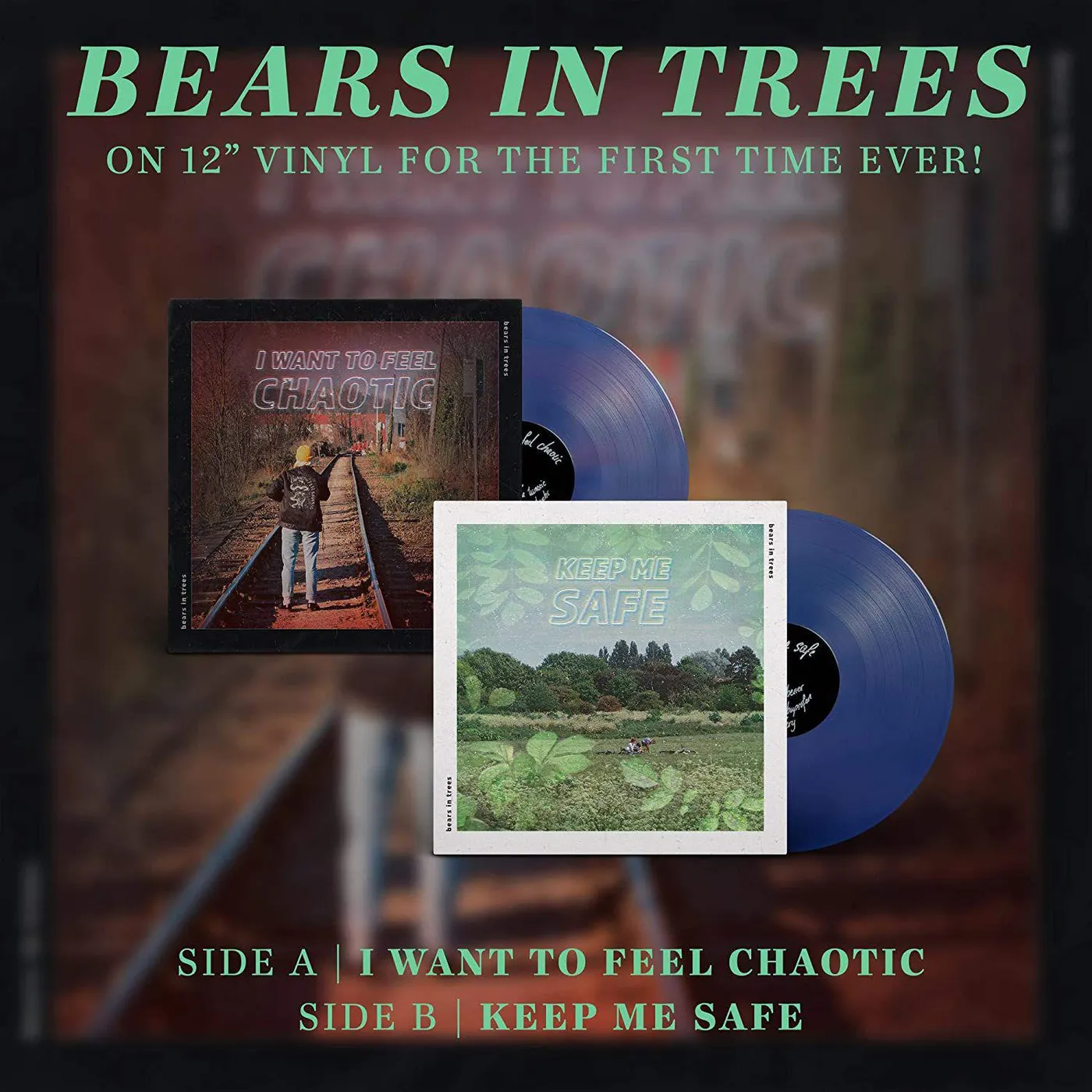Bears In Trees Keep Me Safe / I Want To Feel Chaotic Vinyl Record