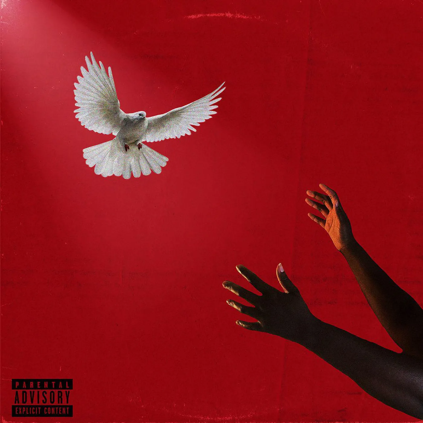 Che Noir Last Remnants Vinyl Record