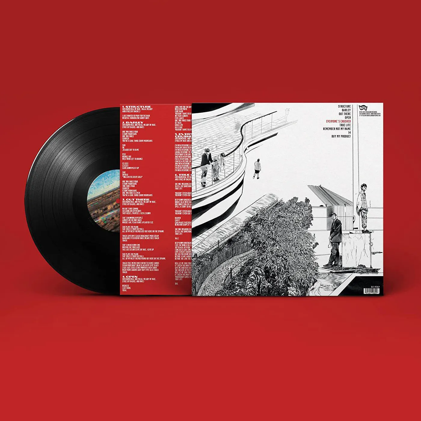 Water From Your Eyes Everyone's Crushed Vinyl Record