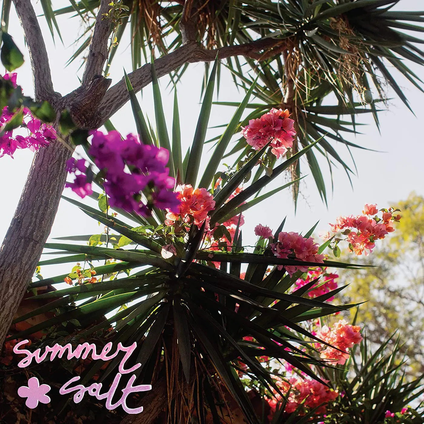 Summer Salt Campanita (Pink) Vinyl Record