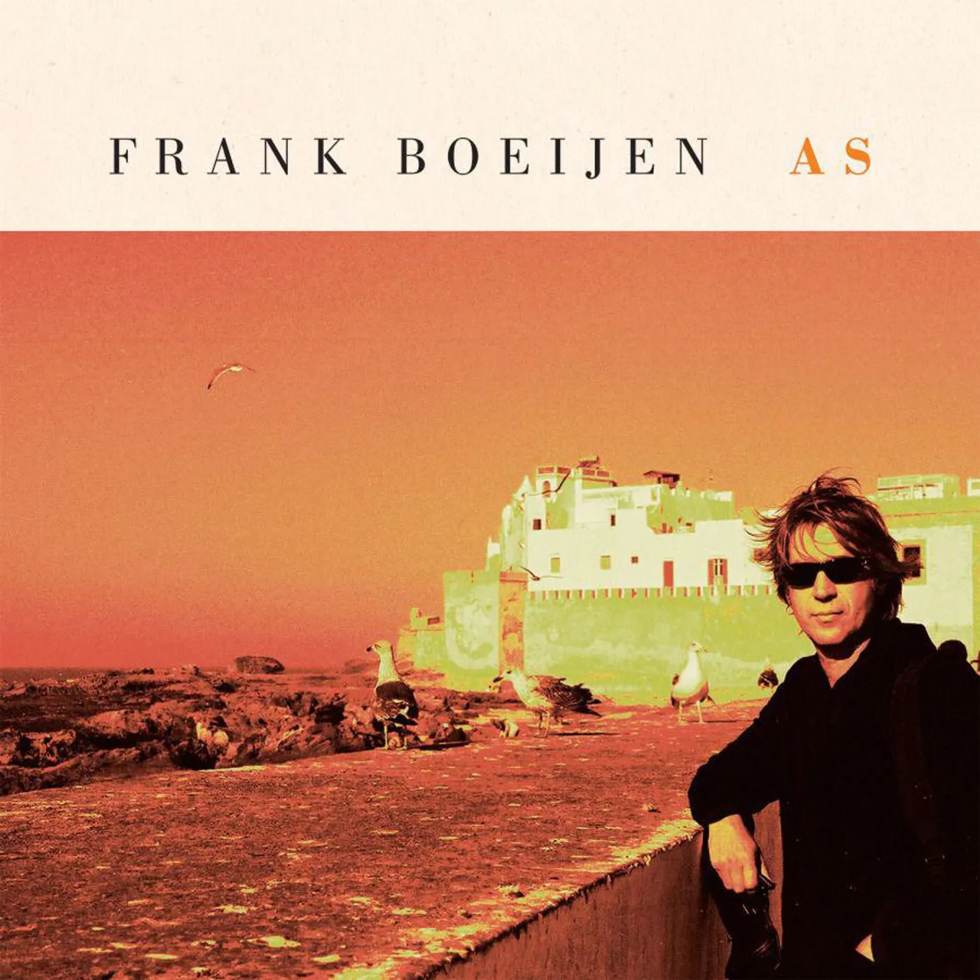 Frank Boeijen As (2LP/180G) Vinyl Record