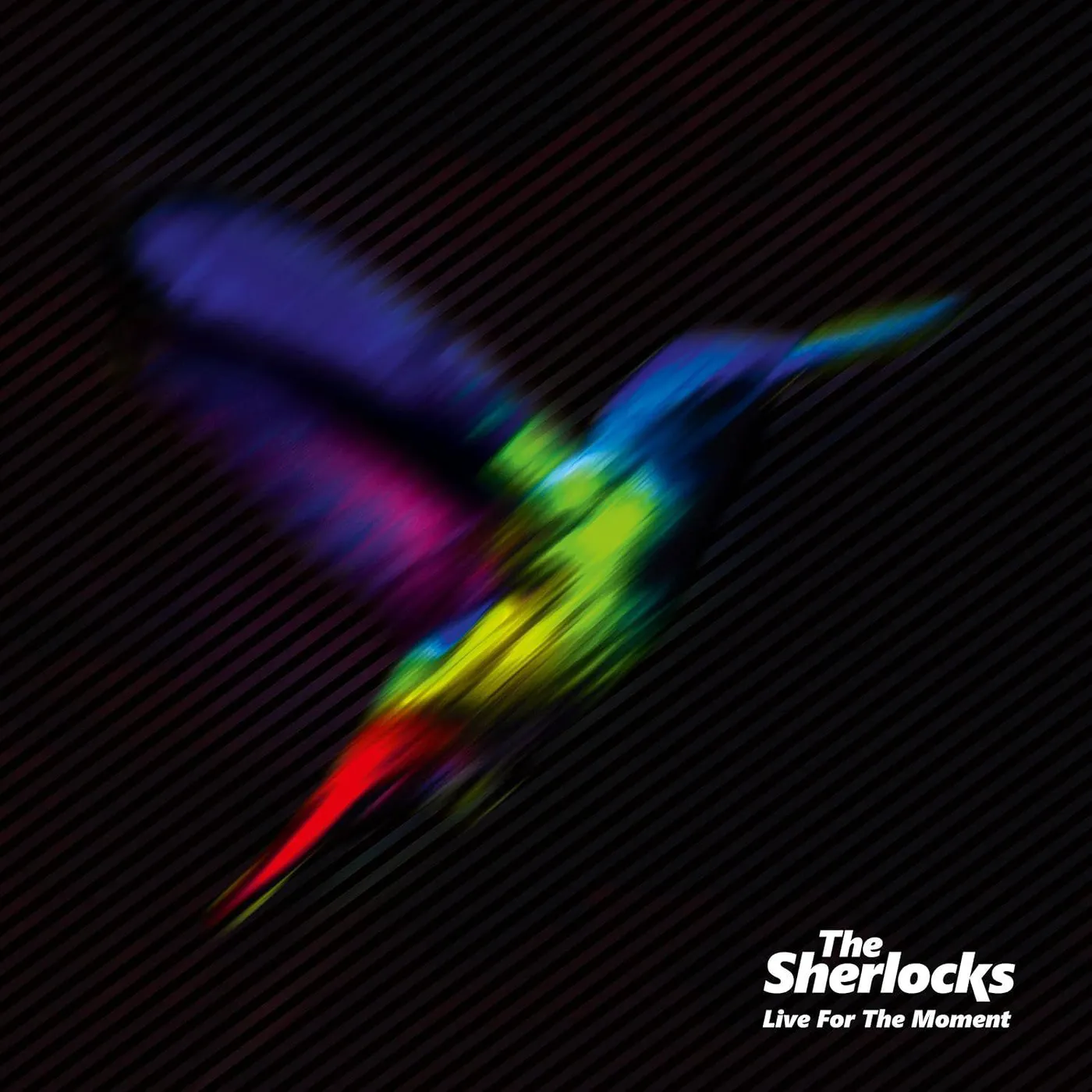 The Sherlocks Live for the Moment Vinyl Record
