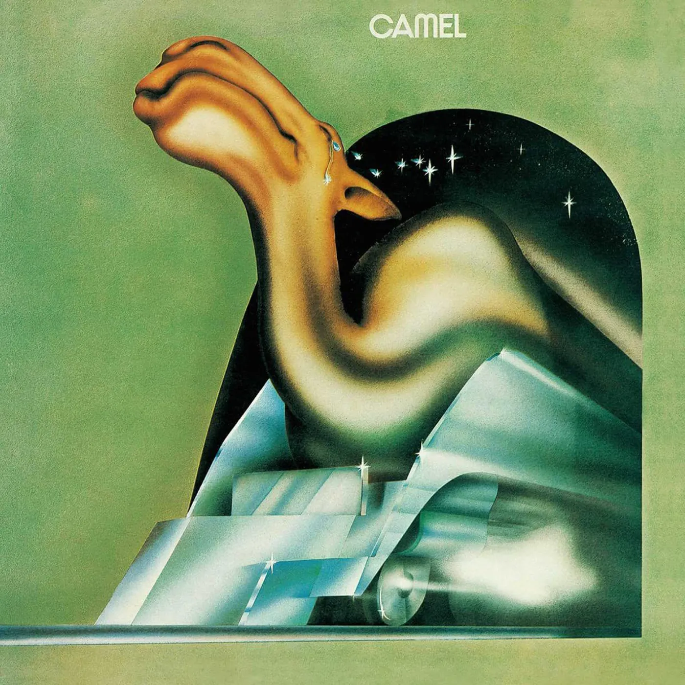 Camel Vinyl Record