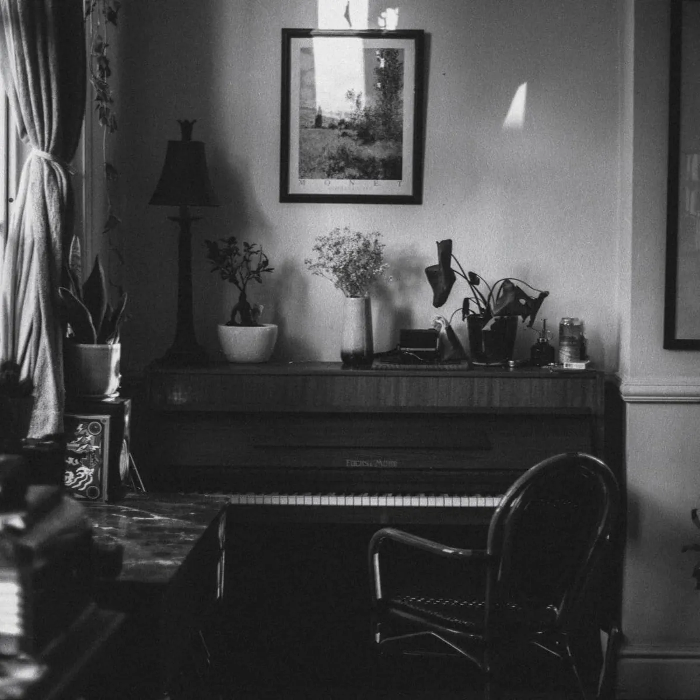 Strawberry Guy F Song & Mrs Magic Strings Versions (180G) Vinyl Record