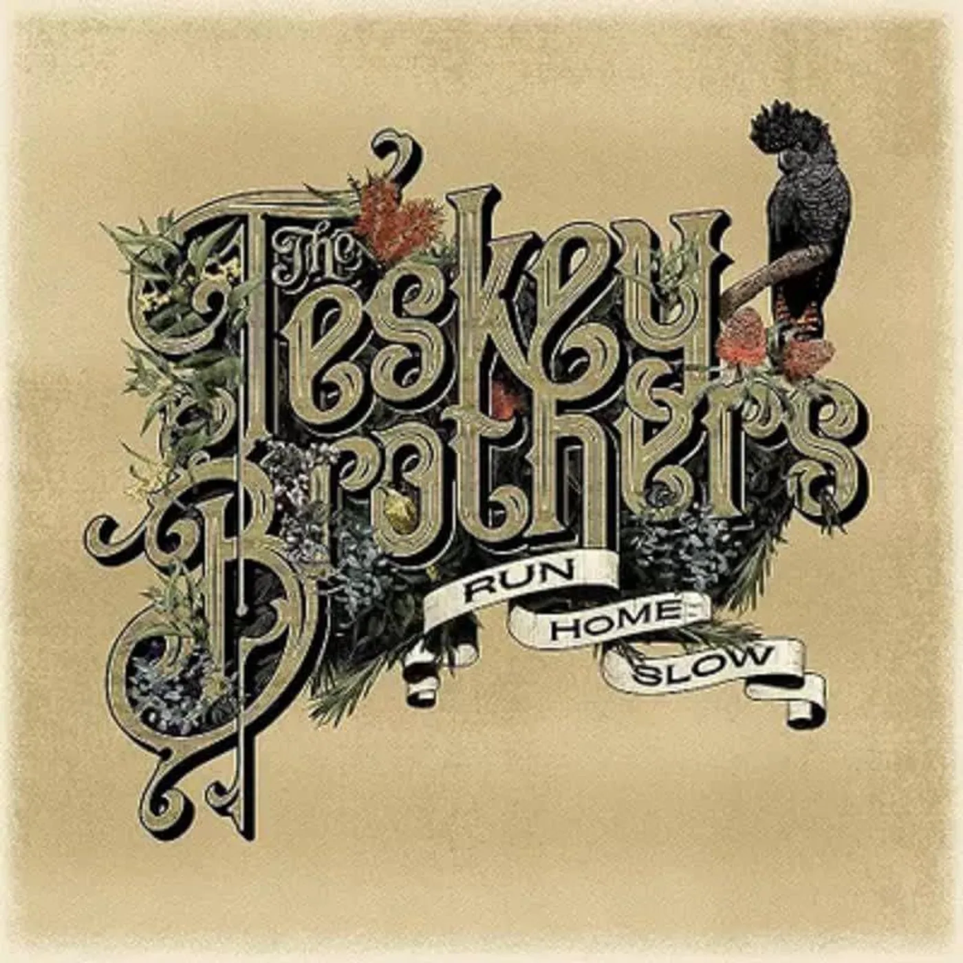 The Teskey Brothers RUN HOME SLOW (COLOR VINYL) Vinyl Record