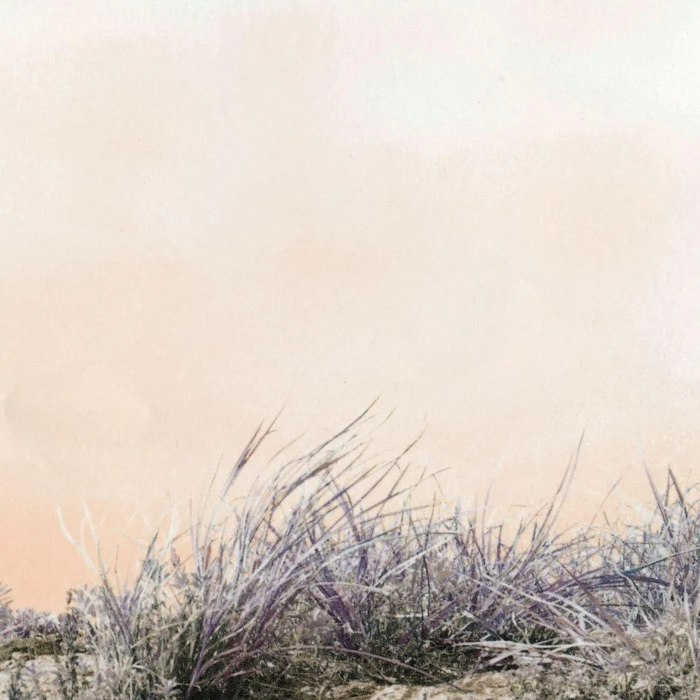 ART-SCHOOL Love/Hate (2LP) Vinyl Record