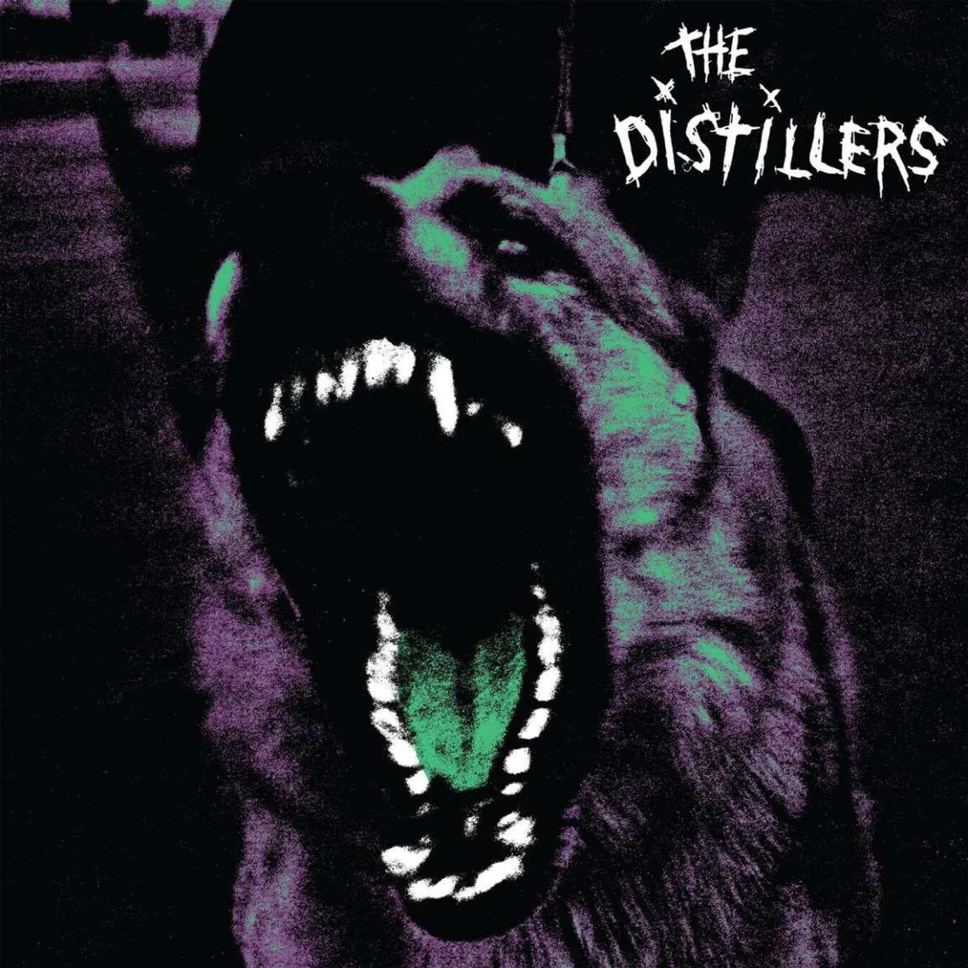  The Distillers (Opaque Sunburst) Vinyl Record