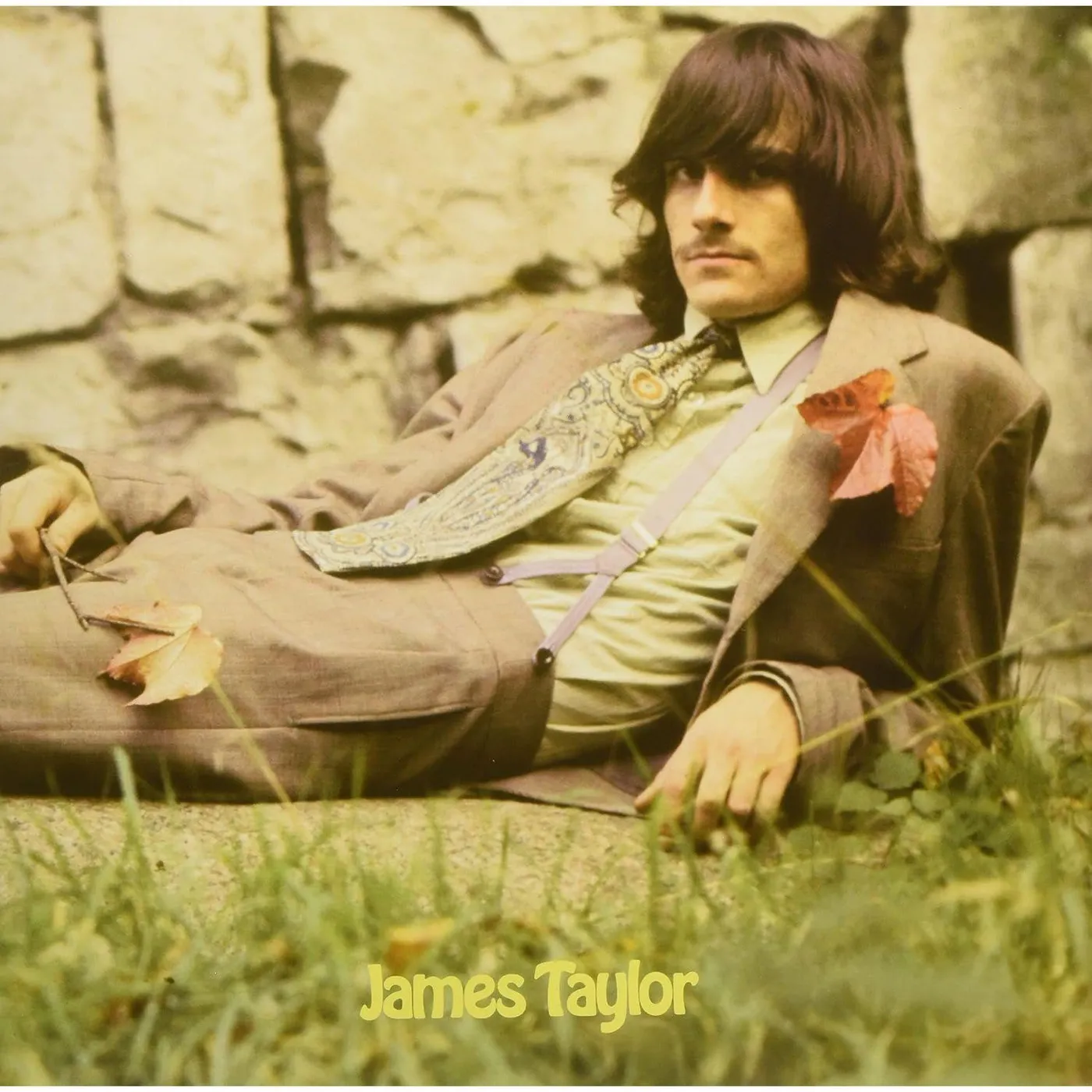  James Taylor Vinyl Record