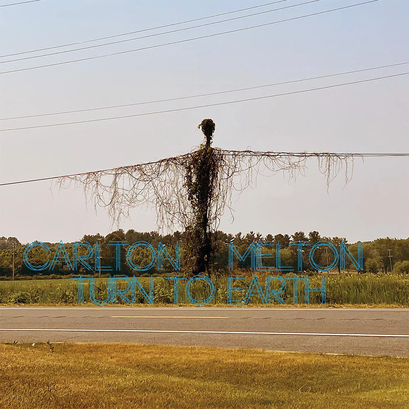 Carlton Melton Turn To Earth (2LP) Vinyl Record