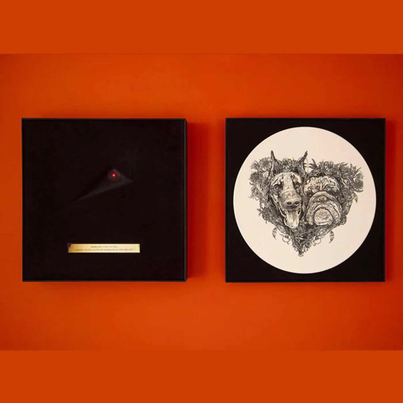 Kate Bush Hounds Of Love (Lost At Sea Boxes) (Braille/2lp/Box A & B/Uv Printed/white Vinyl Record/Art Boxes)