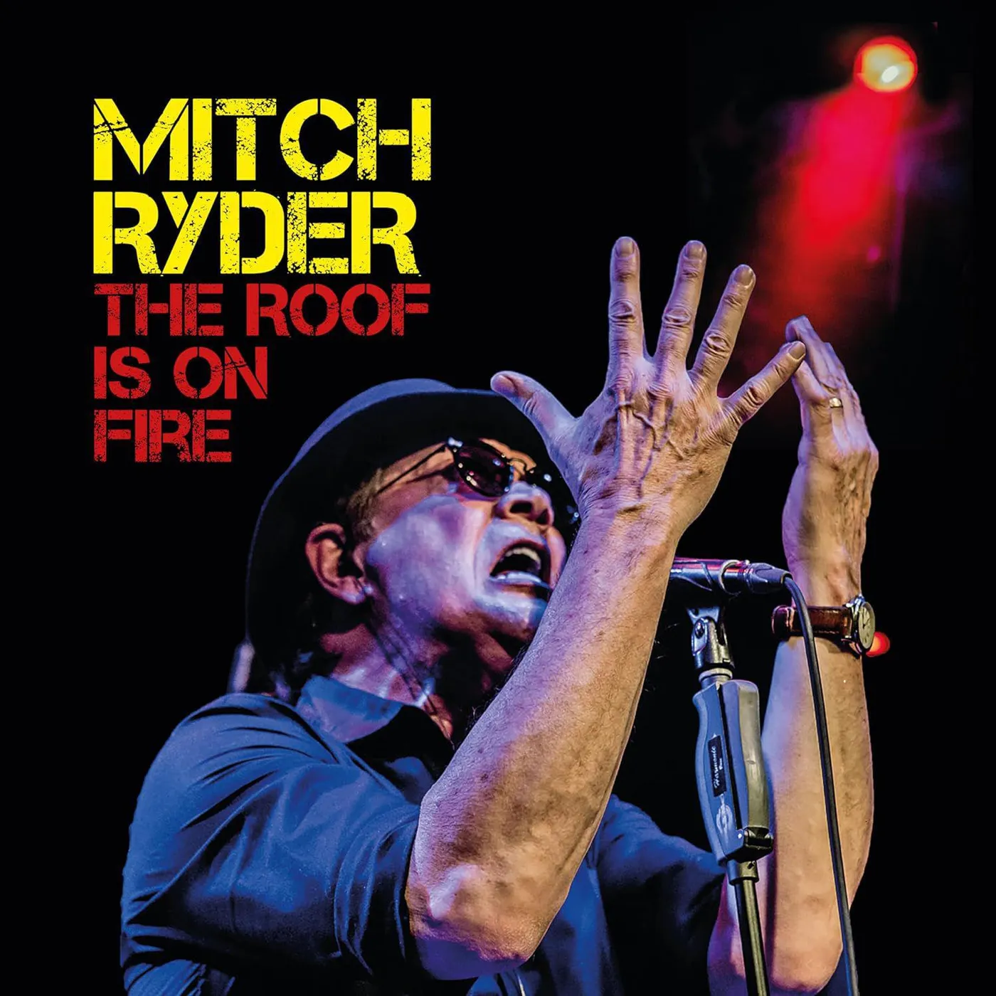 Mitch Ryder ROOF IS ON FIRE (2LP) Vinyl Record