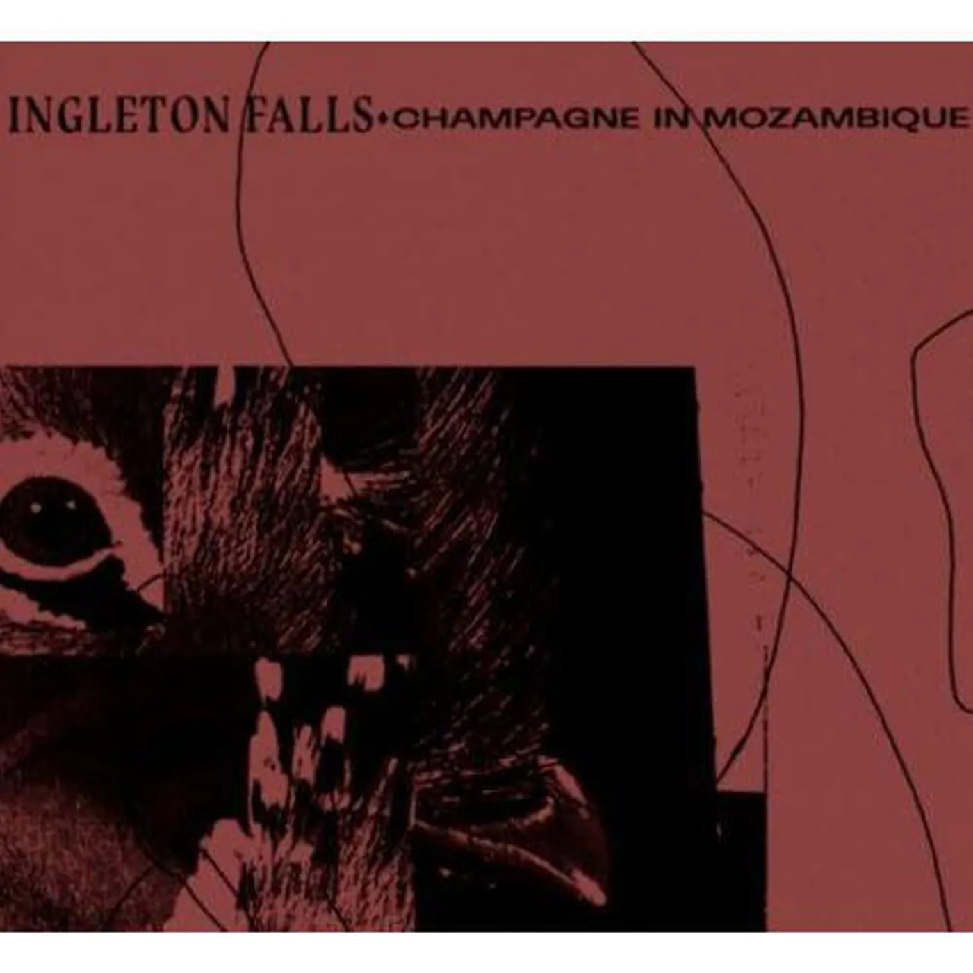 Ingleton Falls CHAMPAGNE IN MOZAMBIQUE Vinyl Record