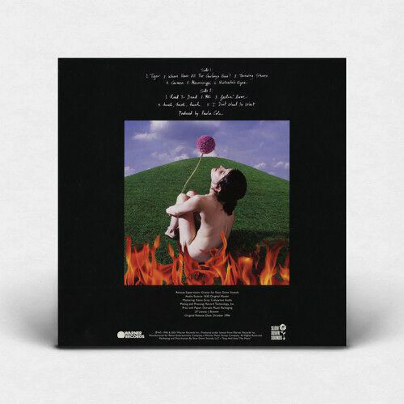 Paula Cole THIS FIRE Vinyl Record