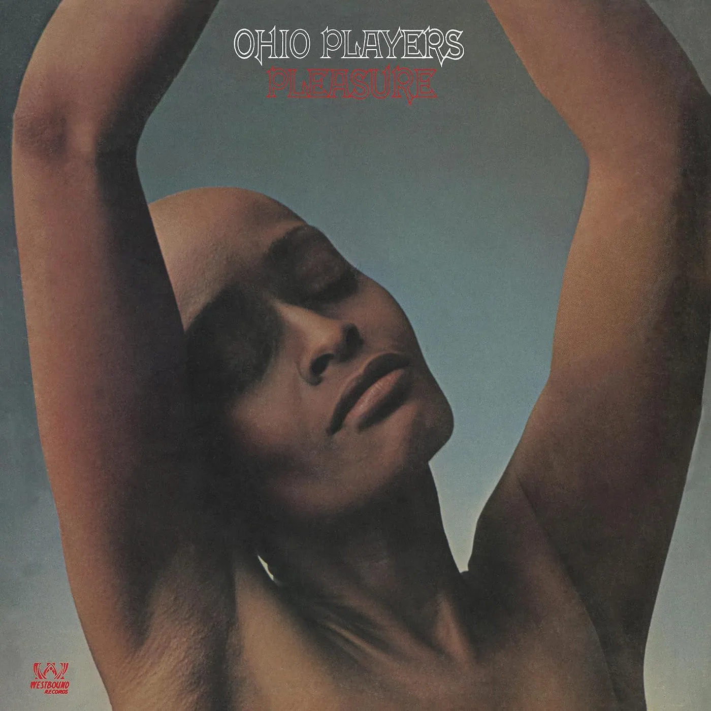 Ohio Players Pleasure (Silver) Vinyl Record
