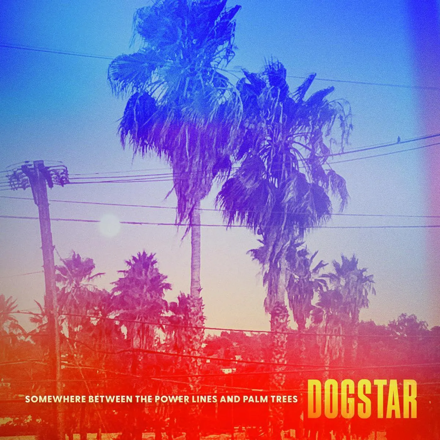 DOGSTAR Somewhere Between The Power Lines & Palm Trees Vinyl Record