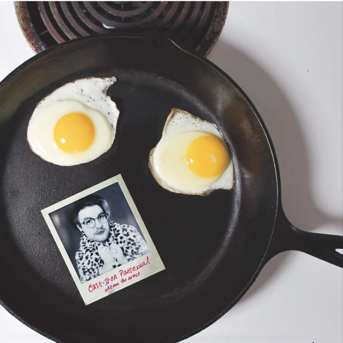 Adeem the Artist Cast-iron Pansexual Vinyl Record