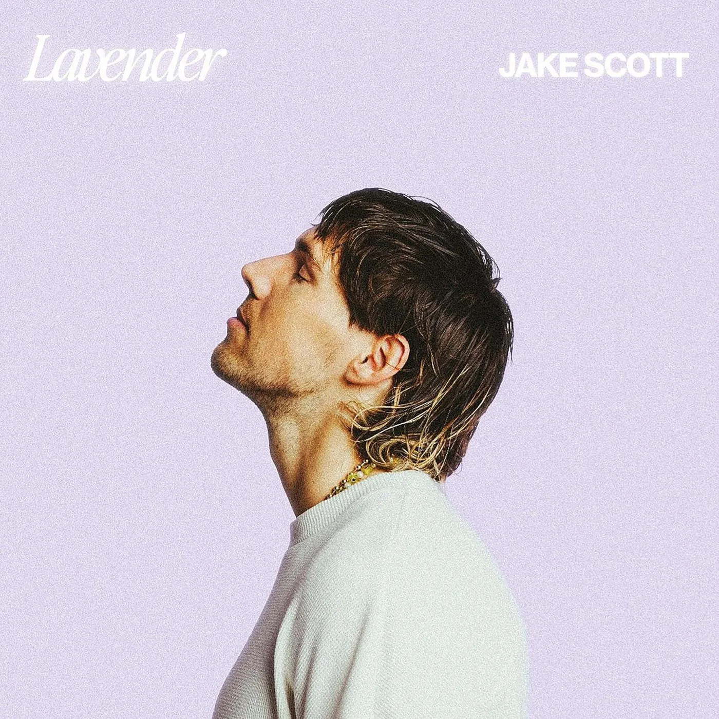 Jake Scott Lavender (2LP) Vinyl Record