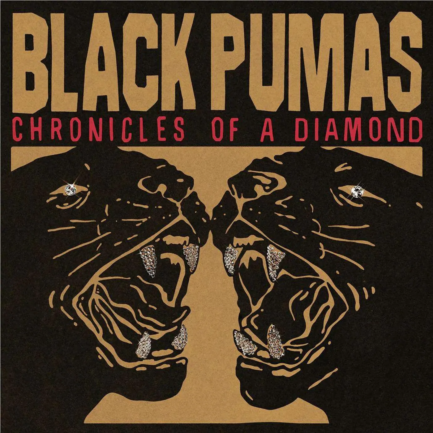 Black Pumas Chronicles Of A Diamond (Clear) Vinyl Record