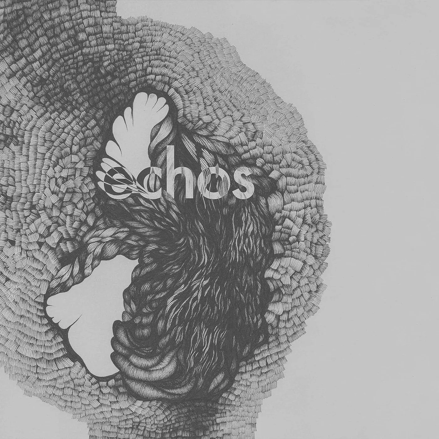 Late Night Alumni Echos Vinyl Record