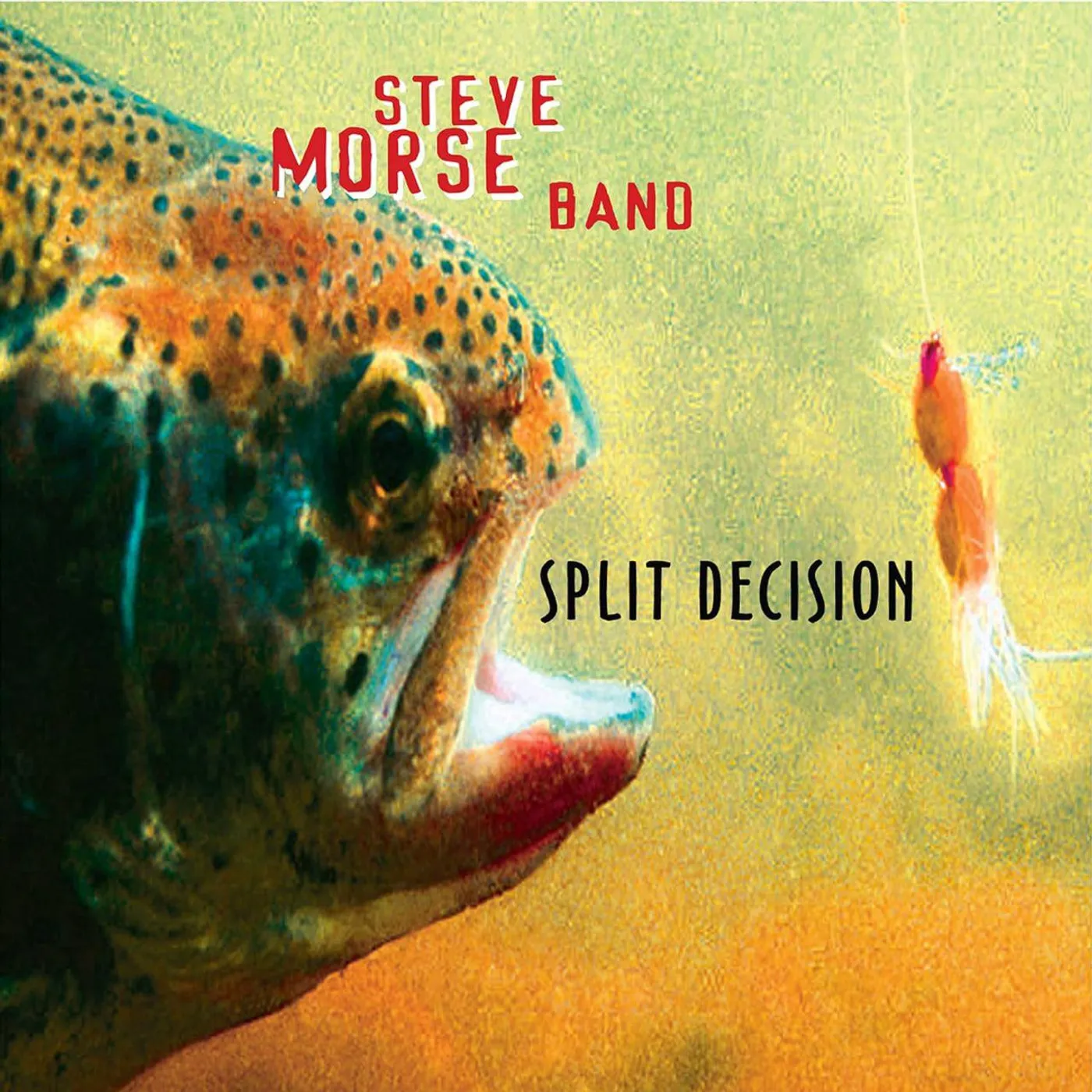 Steve Morse Band SPLIT DECISION Vinyl Record