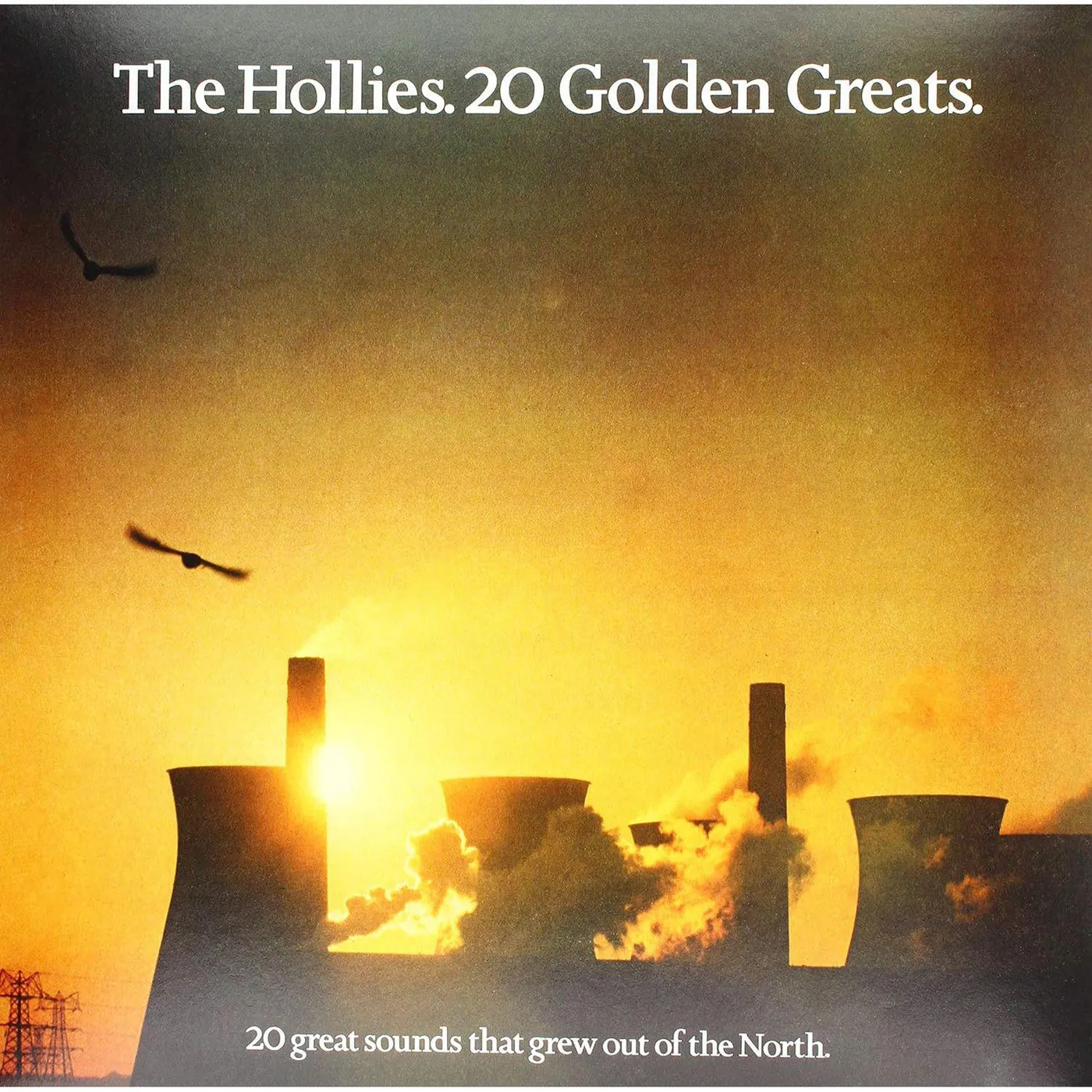 The Hollies 20 Golden Greats Vinyl Record