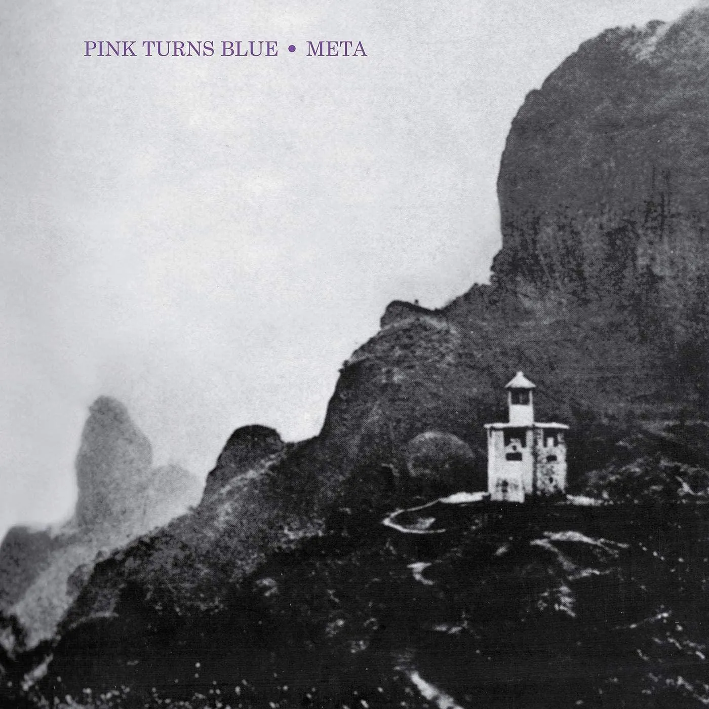 Pink Turns Blue Meta (Reissue) Vinyl Record