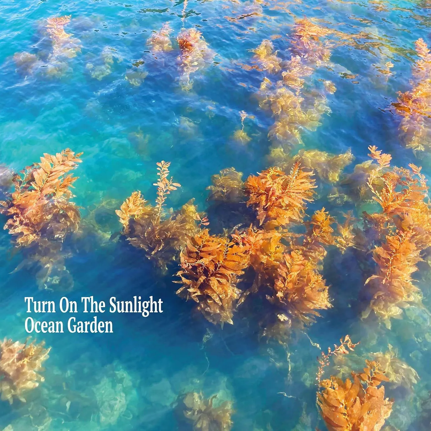 Turn On The Sunlight OCEAN GARDEN Vinyl Record
