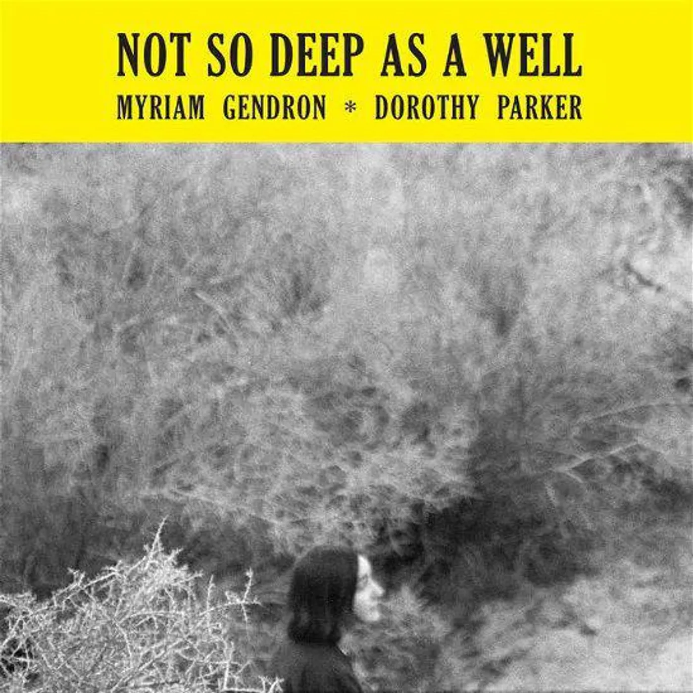 Myriam Gendron Not So Deep As A Well Vinyl Record