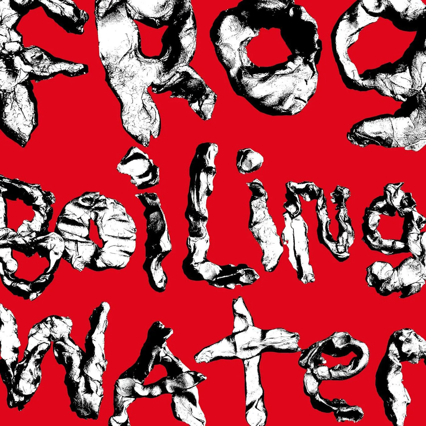 DIIV Frog In Boiling Water Vinyl Record