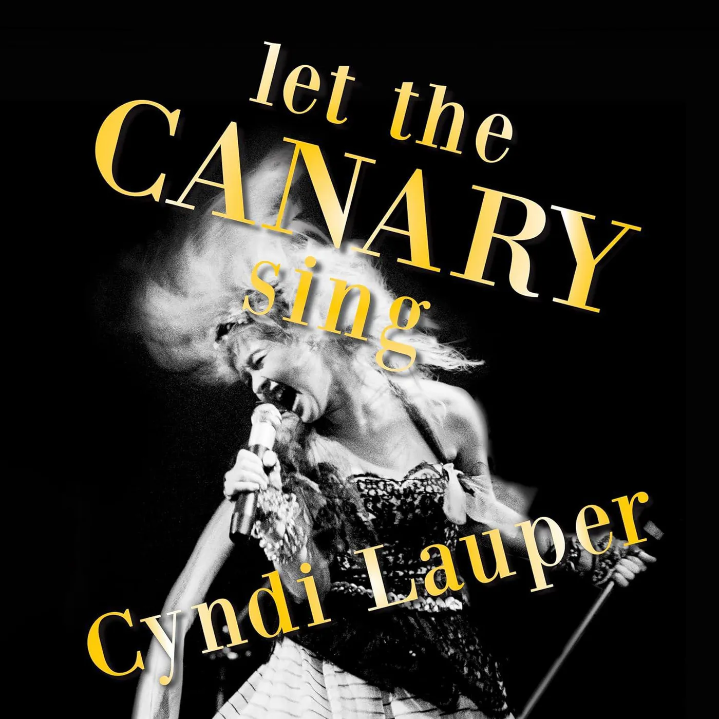 Cyndi Lauper Let The Canary Sing Vinyl Record