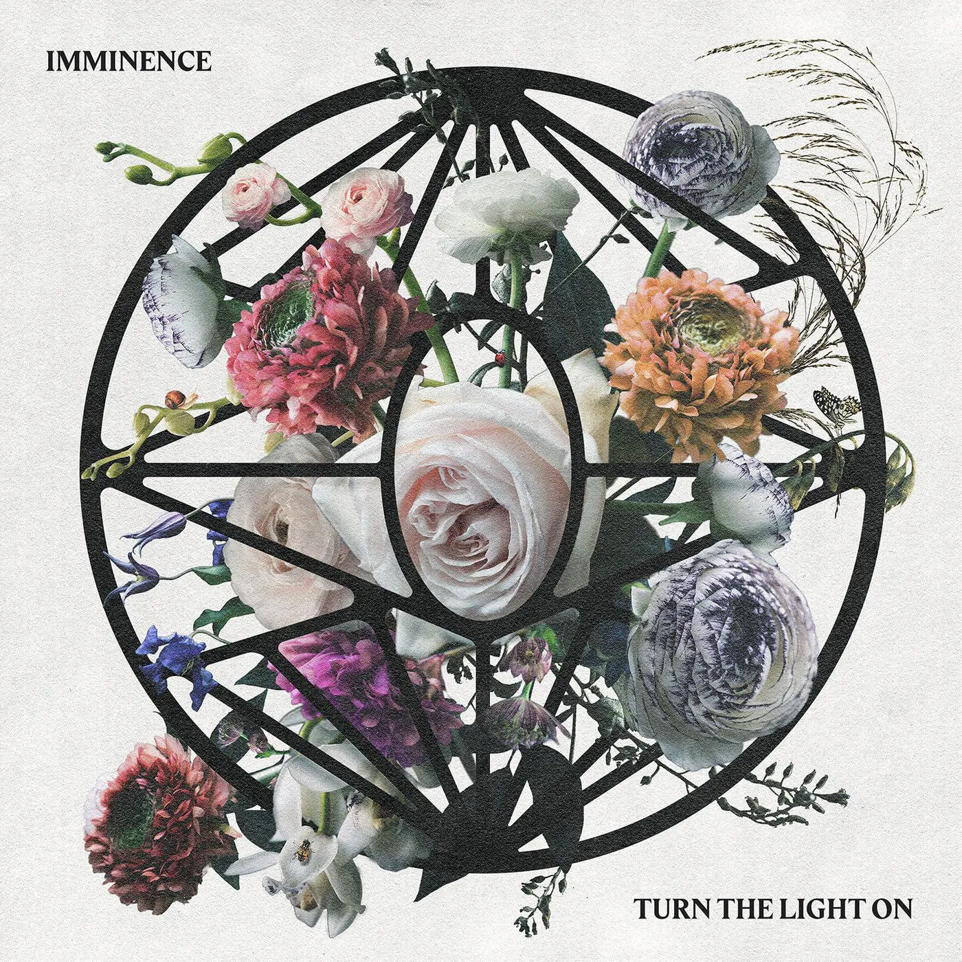 Imminence Turn The Light On (Limited/Crystal Clear/Black Marbled) Vinyl Record
