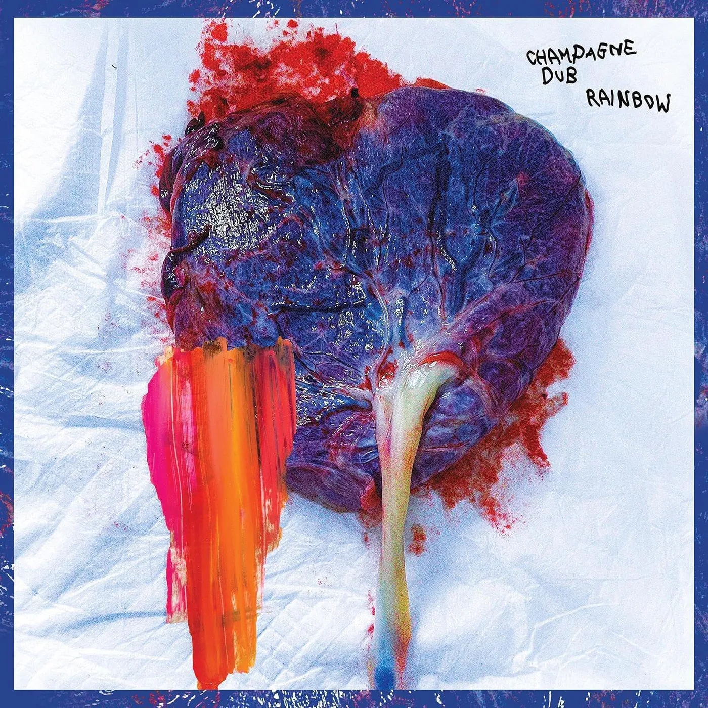 Champagne Dub Rainbow Vinyl Record