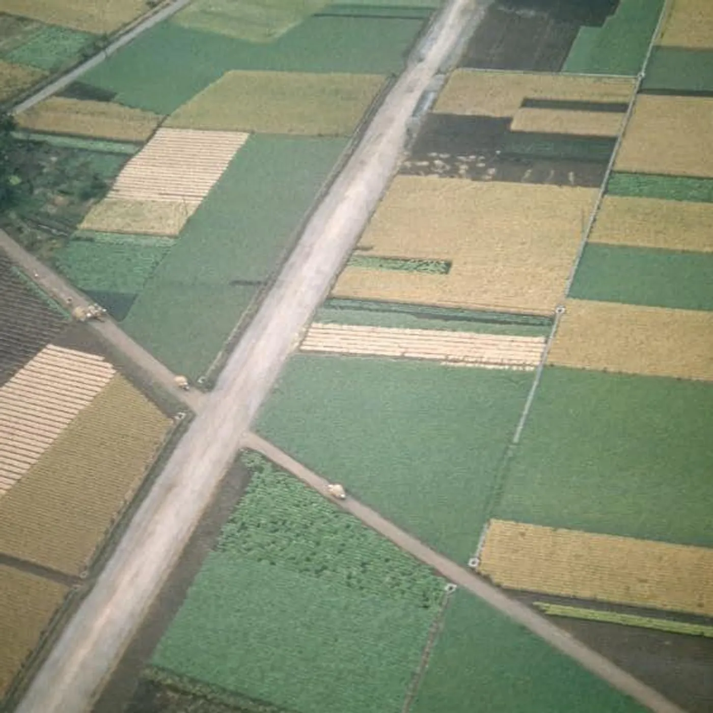 Celer PERFECTLY BENEATH US (REMASTERED) Vinyl Record