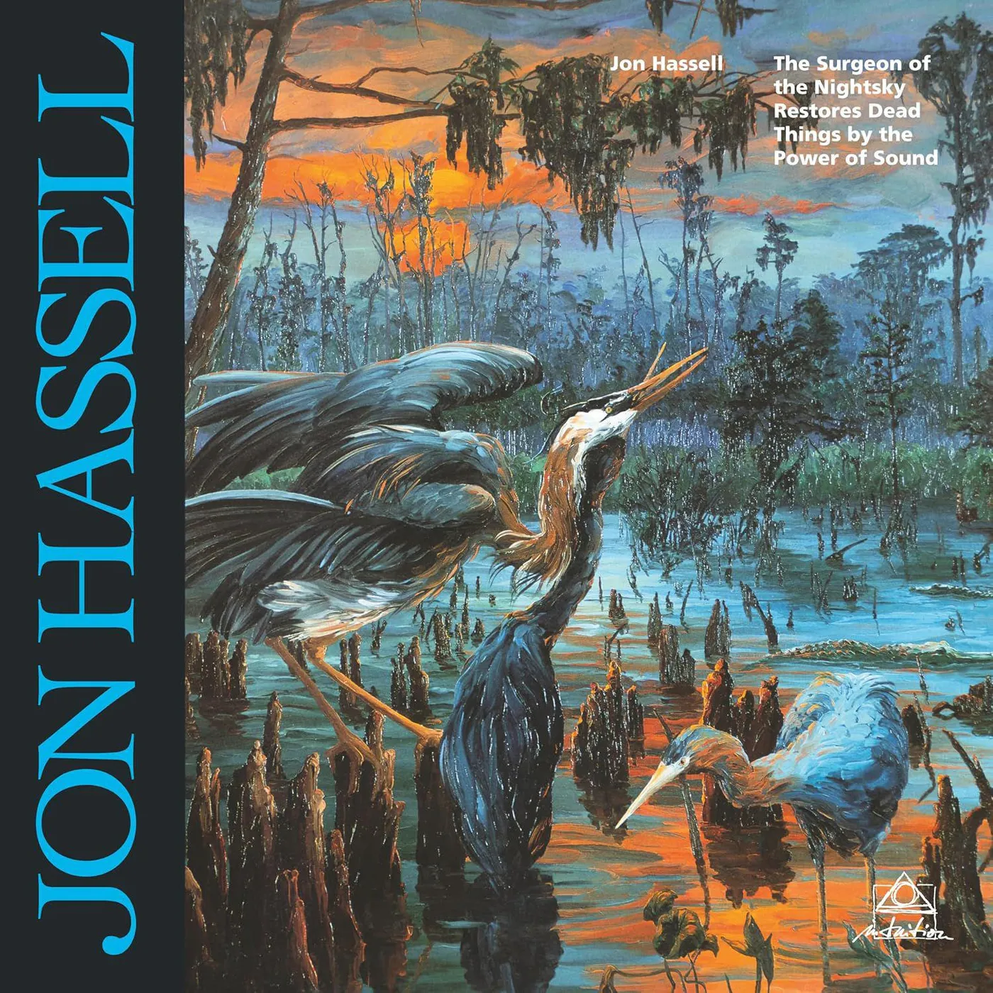 Jon Hassell The Surgeon Of The Nightsky Restores Dead Things By The Power Of Sound Vinyl Record