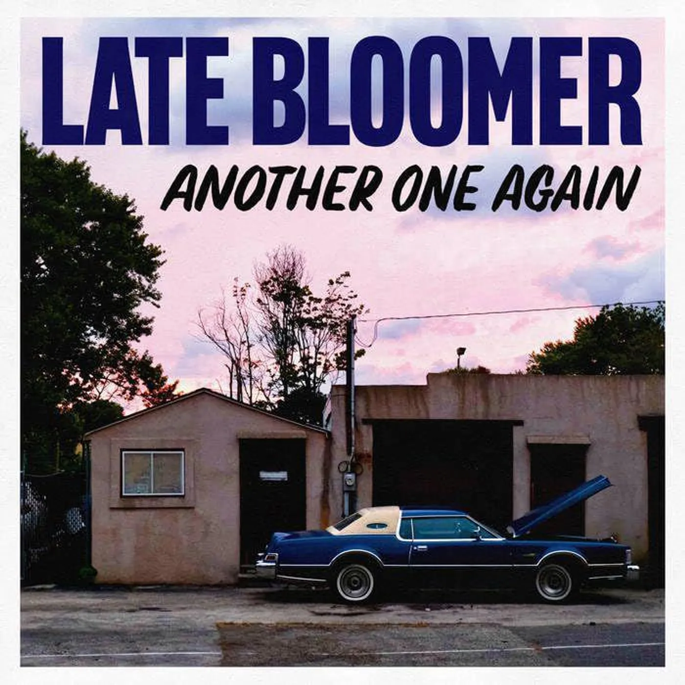 Late Bloomer Another One Again Vinyl Record
