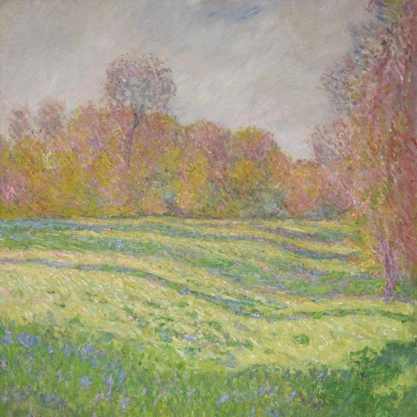 Strawberry Guy Sun Outside My Window (Blue/180G) Vinyl Record