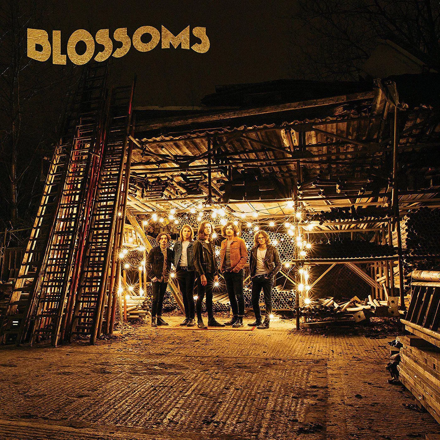  Blossoms Vinyl Record