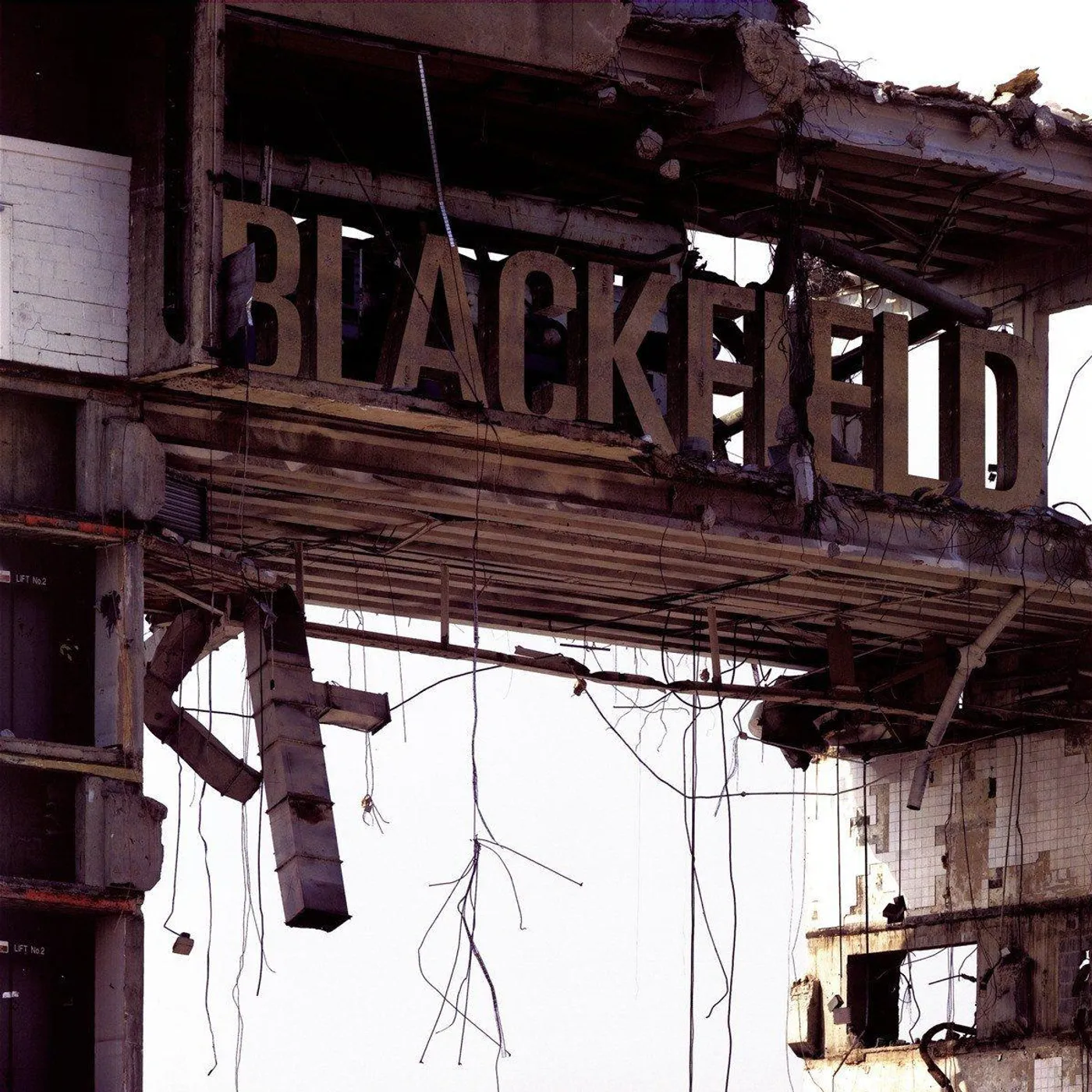  Blackfield II Vinyl Record